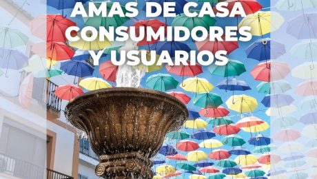 Programa Asamblea Amas de Casa