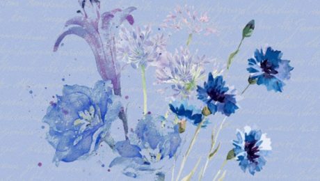 XII Certamen de poesía nacha