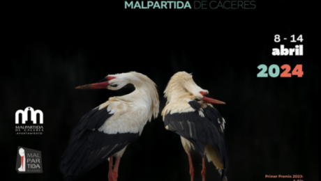 XXXIII Certamen fotografico internacional semana de la cigüeña