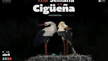 Cartel de la Semana de la Cigüeña
