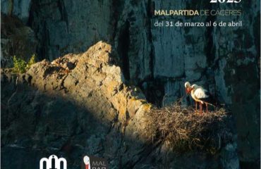 Cartel Certamen Fotográfico Internacional Semana de la Cigüeña de Malpartida de Cáceres