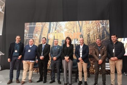 Red de pueblos de película