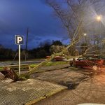 daños borrasca kristin en Malpartida de Cáceres declaración de zona catastrófica