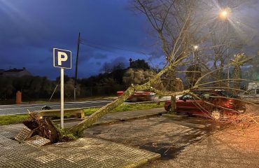 danos kristin 3 daños borrasca kristin en Malpartida de Cáceres declaración de zona catastrófica
