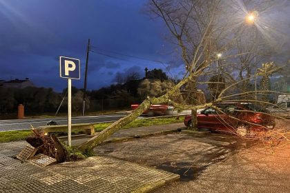 daños borrasca kristin en Malpartida de Cáceres declaración de zona catastrófica